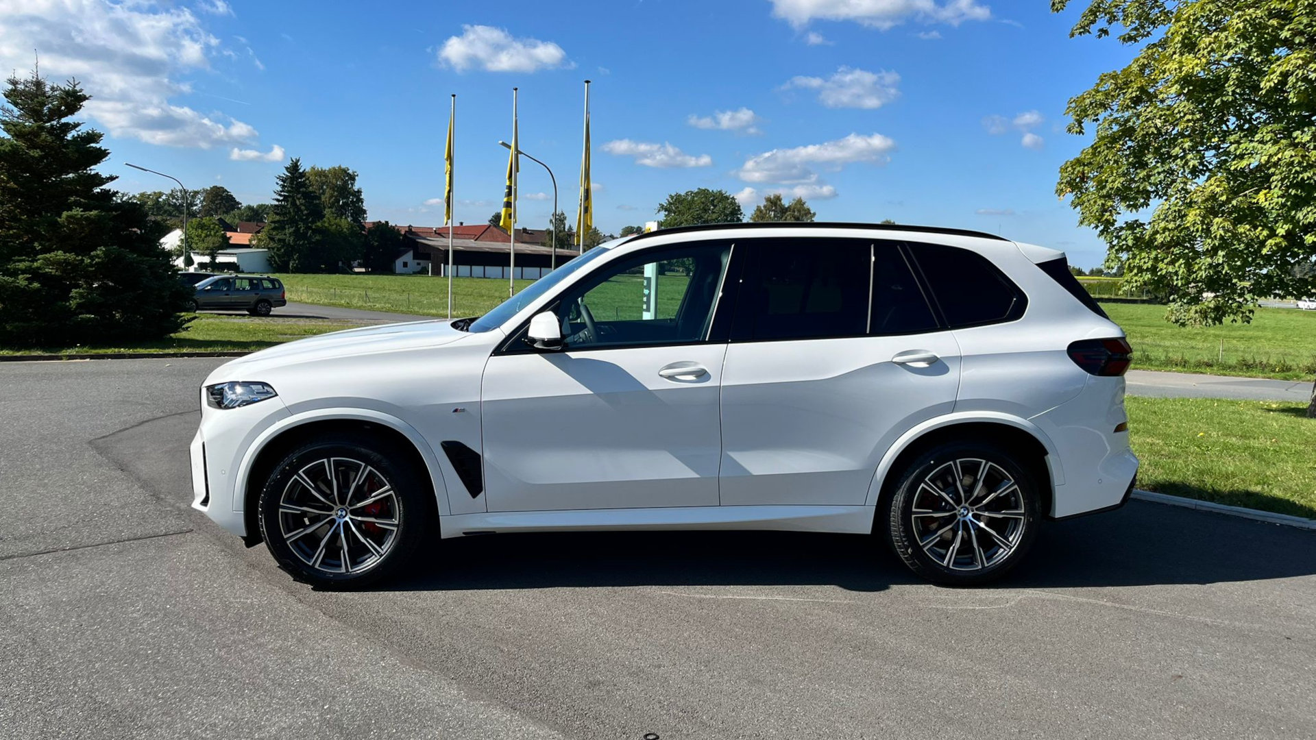 BMW X5 M-Sport Pro Seitenansicht